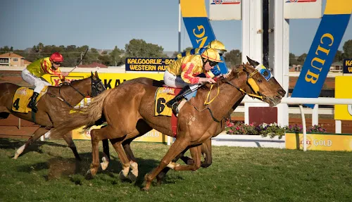 1 - Wild Card Tattoo & Body Piercing Studio