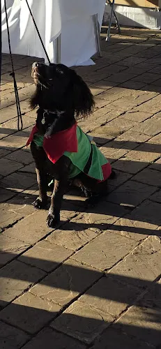 3 - Wren Nail & Beauty Salon