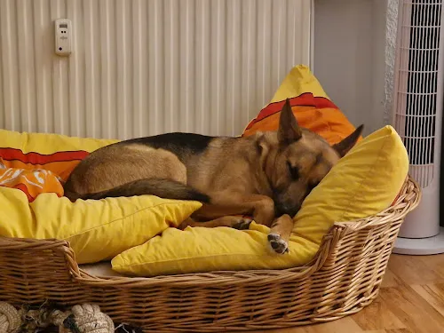 2 - Zahnärztin Olga Bergstreiser