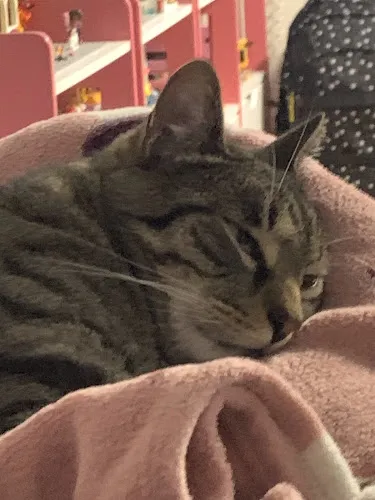 5 - Zahnärztin Olga Bergstreiser