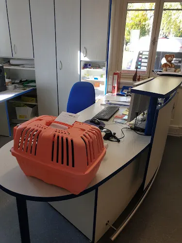 8 - Zahnärztin Olga Bergstreiser