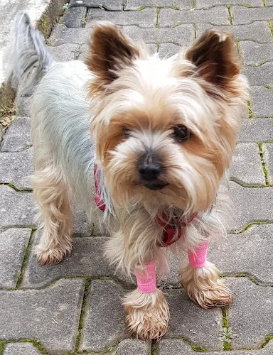 4 - Zahnarztpraxis Christoph Honigmann