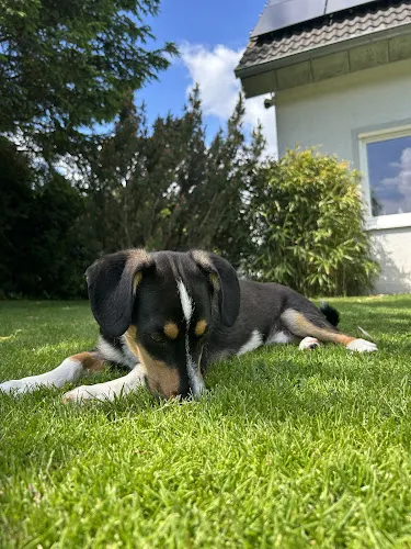 5 - Zahnarztpraxis Christoph Honigmann