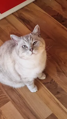 2 - Zahnarztpraxis Christoph Honigmann