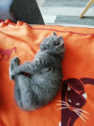 8 - Zahnarztpraxis Christoph Honigmann