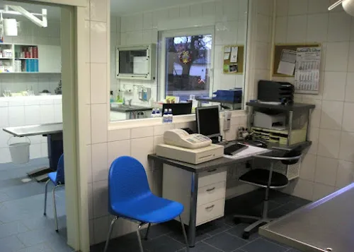 3 - Zahnarztpraxis Christoph Honigmann