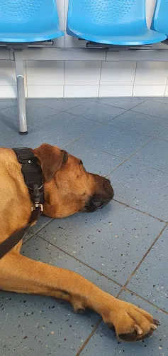 7 - Zahnarztpraxis Christoph Honigmann