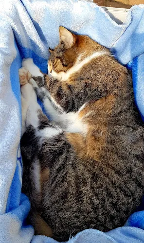 6 - Zahnarztpraxis Christoph Honigmann