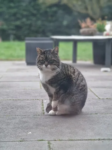 3 - Zahnarztpraxis Dr. K. Dröge