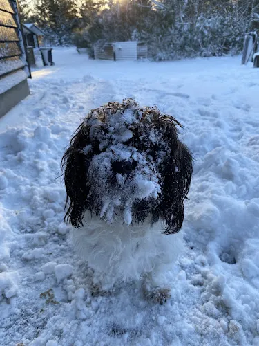 7 - Zahnarztpraxis Dr. K. Dröge