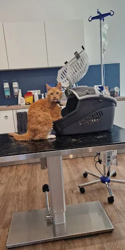 8 - Zahnarztpraxis Dr. K. Dröge