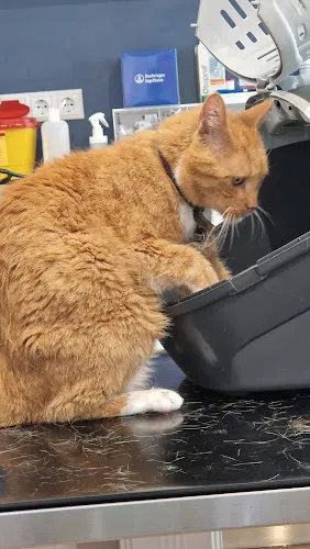 5 - Zahnarztpraxis Dr. K. Dröge