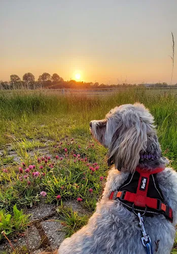 6 - Zahnarztpraxis Dr. K. Dröge