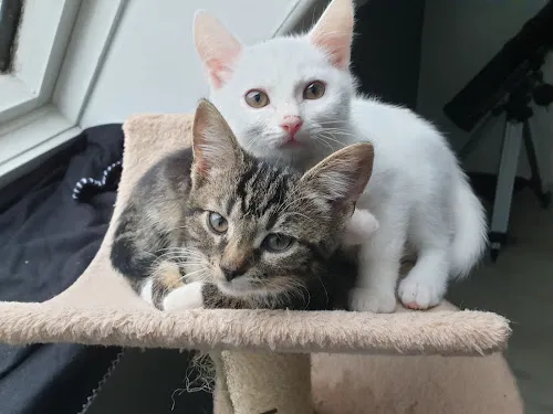 4 - Zahnarztpraxis Dr. K. Dröge