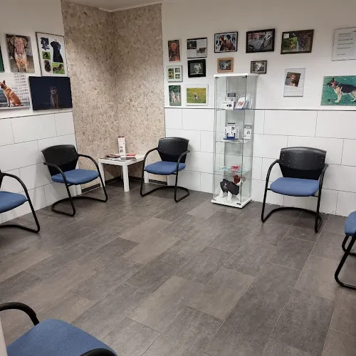 2 - Zahnarztpraxis Dr. Pusic