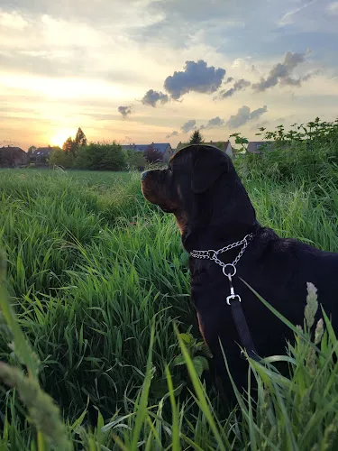 8 - Zahnarztpraxis Dr. Pusic