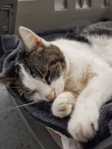 3 - Zahnarztpraxis Dr. Pusic